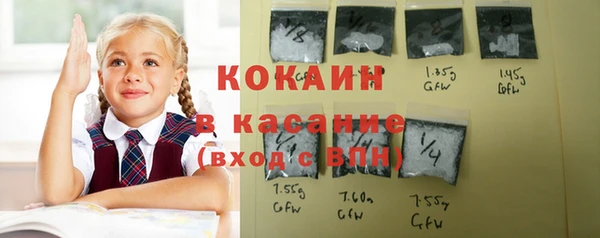кокс Арсеньев