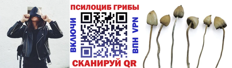 Галлюциногенные грибы мухоморы  OMG маркетплейс  Шадринск 